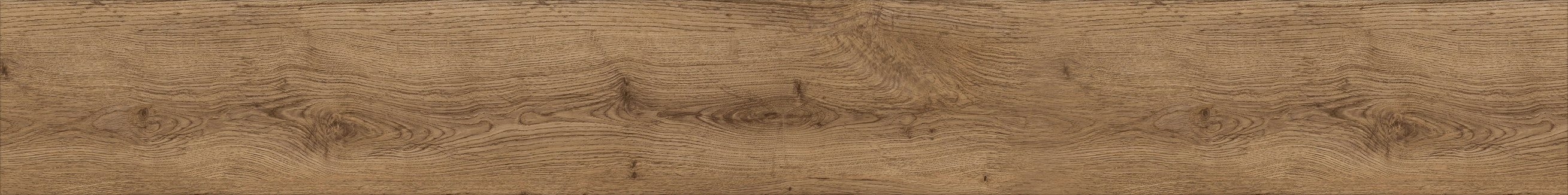 Antwerp 1014 plank reference