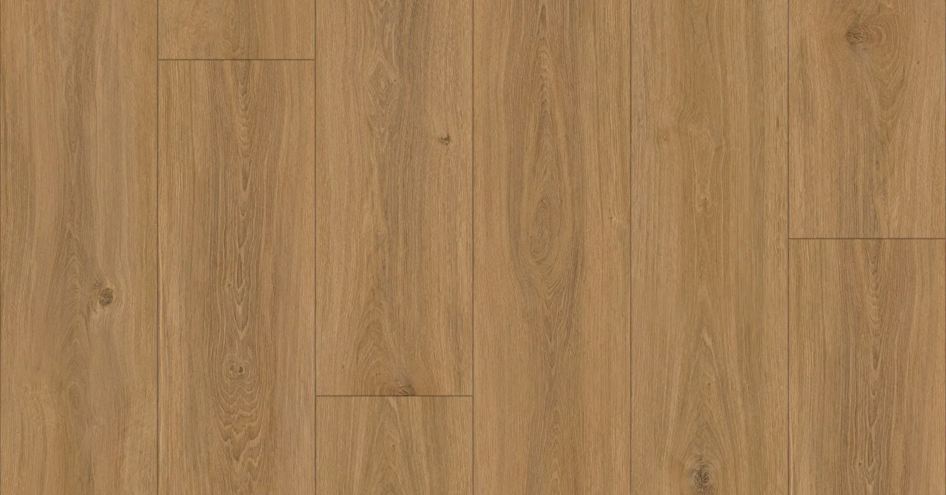 Rio 211 — the surface at close range, unretouched