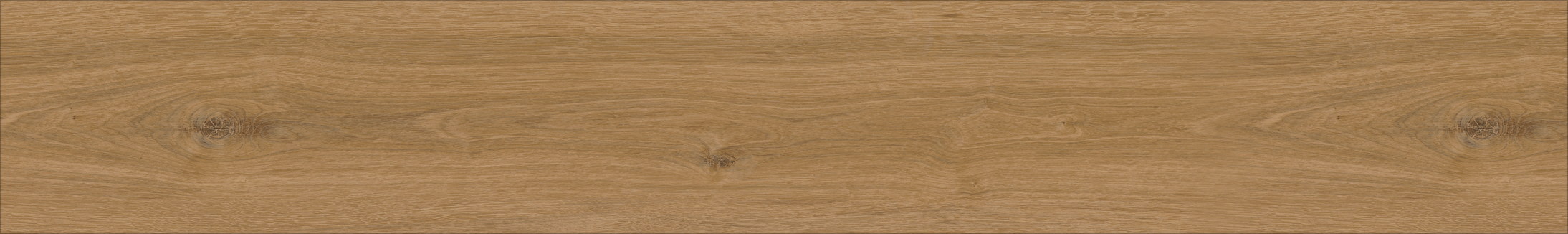 Rio 211 plank reference