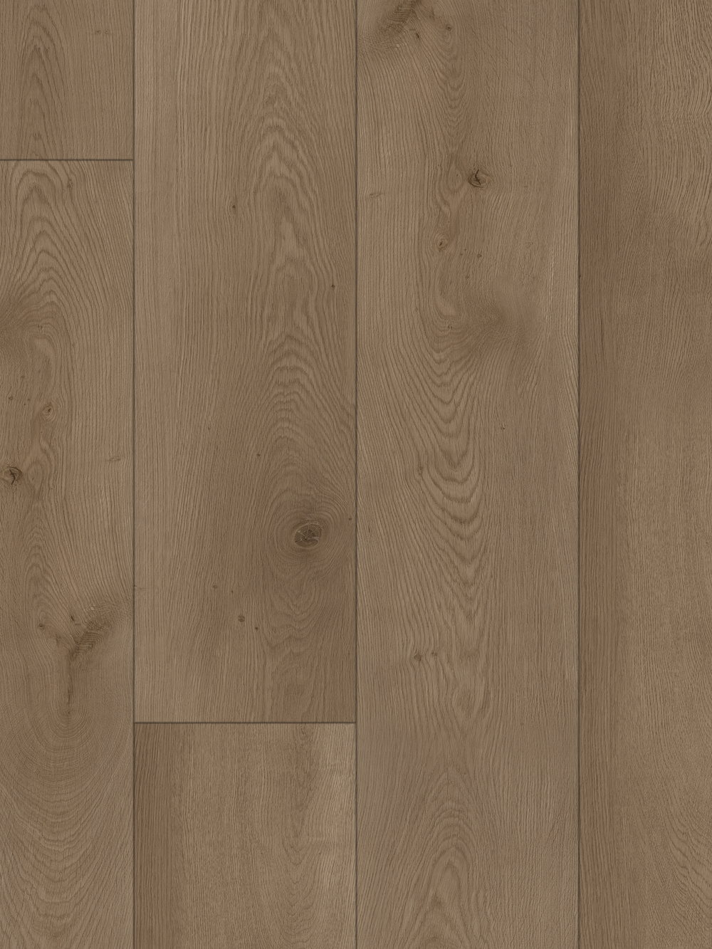 Comporta floor &mdash; Atlantic Portugal