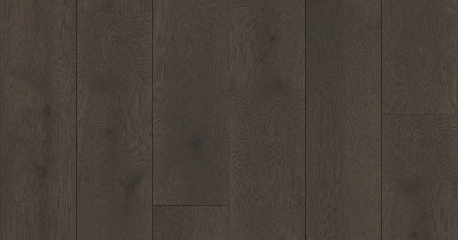 Havana 2410 — the surface at close range, unretouched